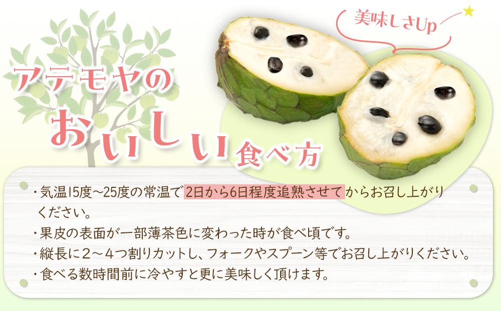 【先行予約】※数量限定　農薬未使用　森のアイスクリーム　アテモヤ2kg～2.4kg（凡そ5玉～8玉）