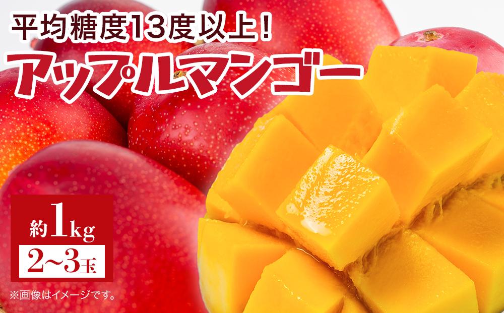 【2026年7月下旬より発送】【先行予約】平均糖度13度以上！アップルマンゴー約1kg（2~3玉）