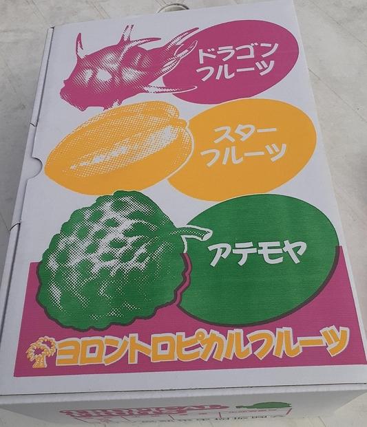 【先行予約】※数量限定　無農薬栽培　森のアイスクリーム　アテモヤ2kg～2.4kg（凡そ5玉～8玉）