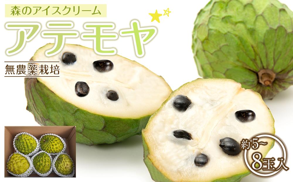 【先行予約】※数量限定　農薬未使用　森のアイスクリーム　アテモヤ2kg～2.4kg（凡そ5玉～8玉）