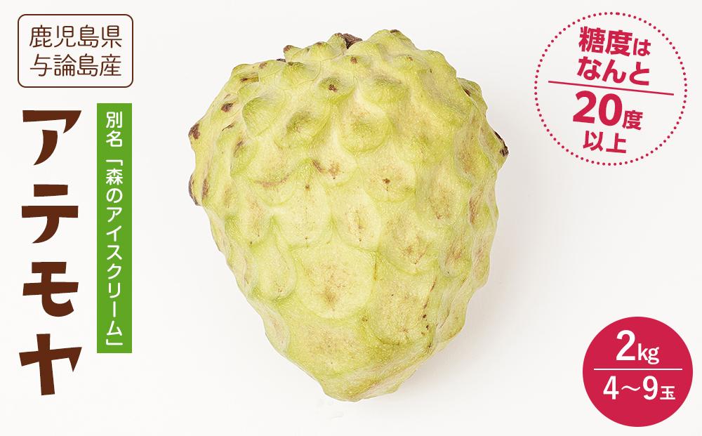 希少!!　森のアイスクリーム　アテモヤ