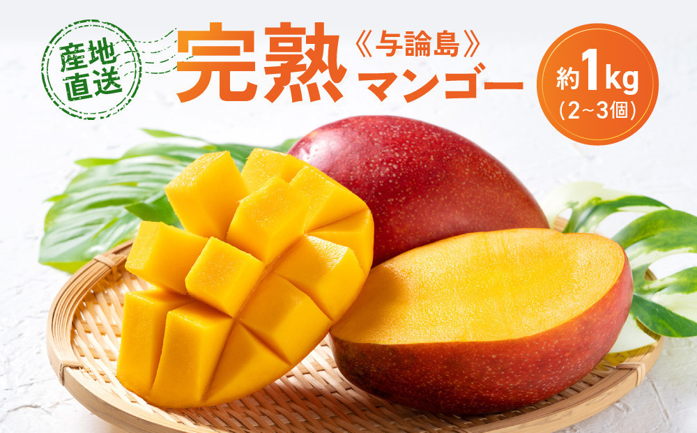 「2026夏発送」★厳選★ 完熟 与論島マンゴー １kg（2～3個）【数量限定】【産地直送】【先行予約】