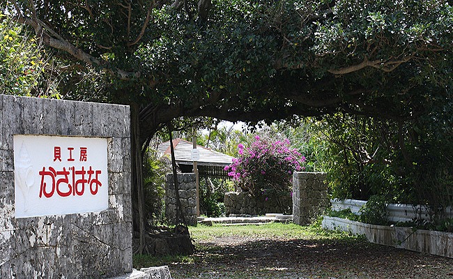 白蝶貝とパウアシェルを素材にした「ピアス」＜EPDH-1＞【貝工房かざはな】