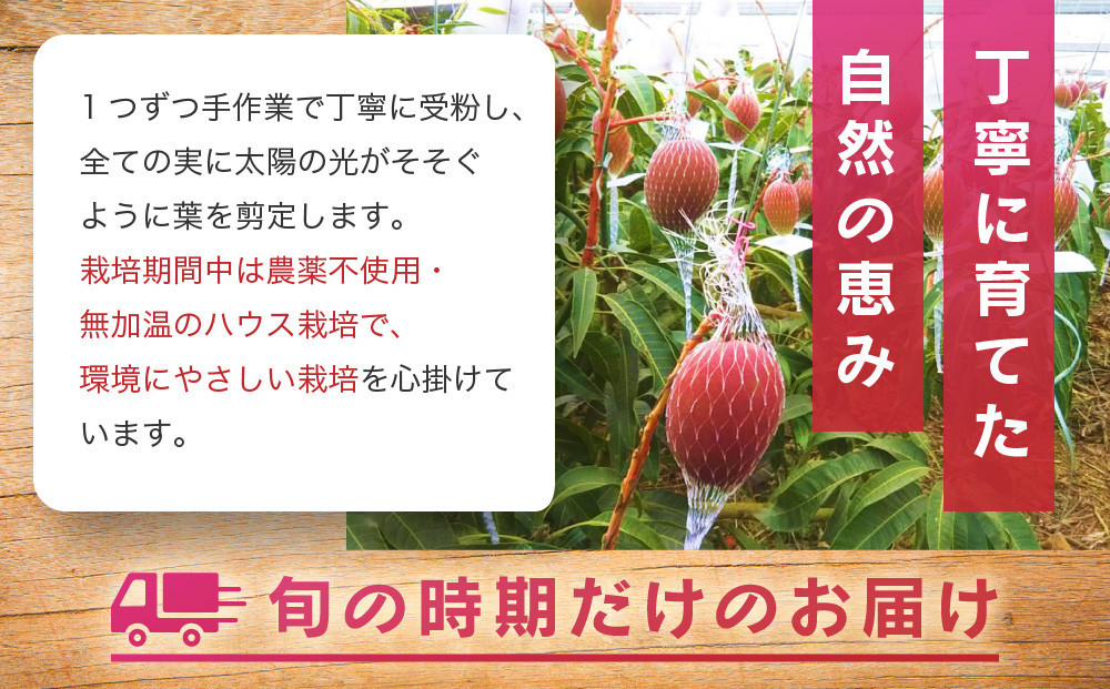 【2026年夏発送】パッションフルーツ (2kg24個入りバラ詰) 2026年6月～出荷開始 リリコイ 南国フルーツ デザート 人気 鹿児島県  与論町