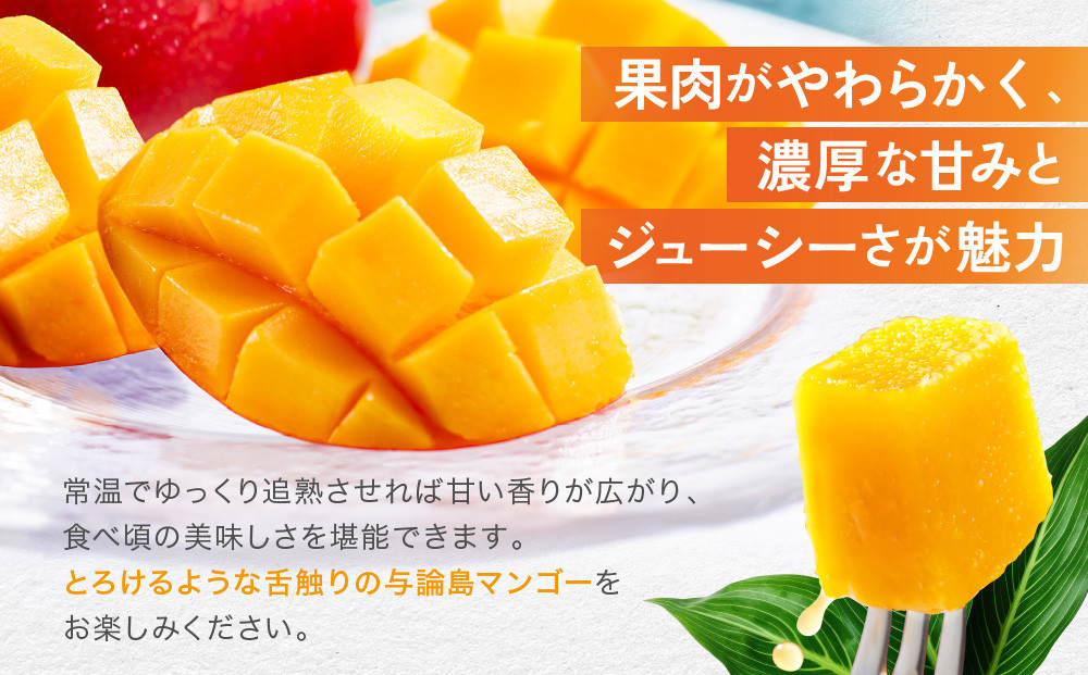 ã2026å€çºéãâ
å³éžâ
å®ç äžè«å³¶ãã³ãŽãŒ ïŒkgïŒ2ïœ3åïŒãæ°ééå®ããç£å°çŽéããå
è¡äºçŽã