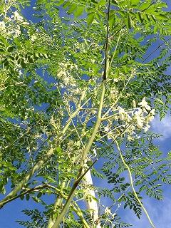 繧ゅj繧薙′繧√sシ5譚滂シ会シ繝「繝ェ繝ウ繧ャ闌カ繧サ繝繝