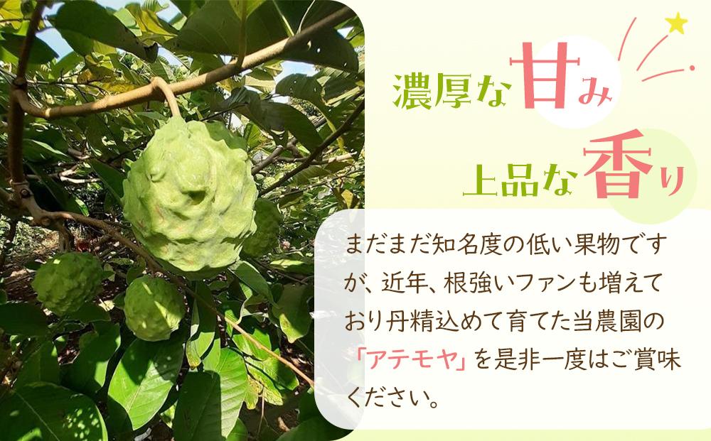 【先行予約】※数量限定　農薬未使用　森のアイスクリーム　アテモヤ2kg～2.4kg（凡そ5玉～8玉）