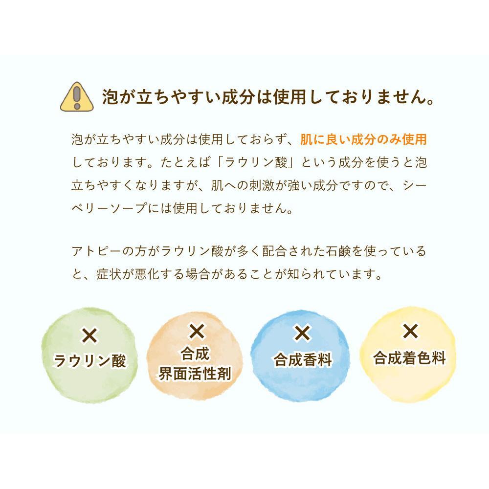 グアマラルシーベリーソープ 100g 3個セット サジー石鹸