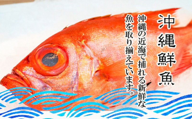 【泊漁港直送】 沖縄美ら海鮮魚セット