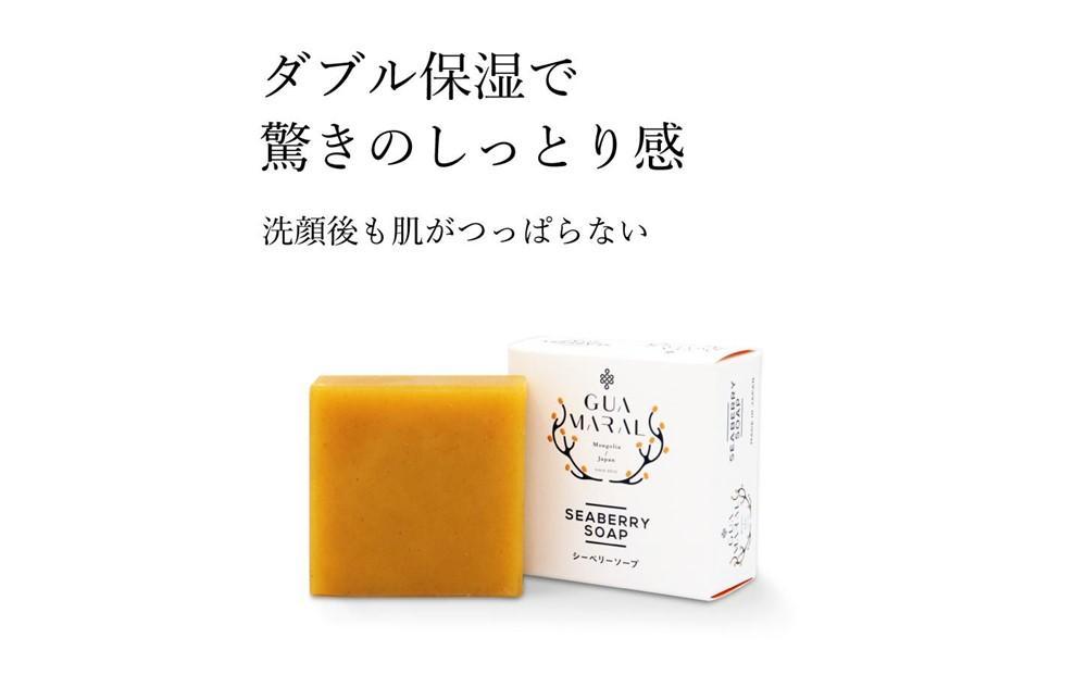 グアマラルシーベリーソープ 100g 1個セット  サジー石鹸