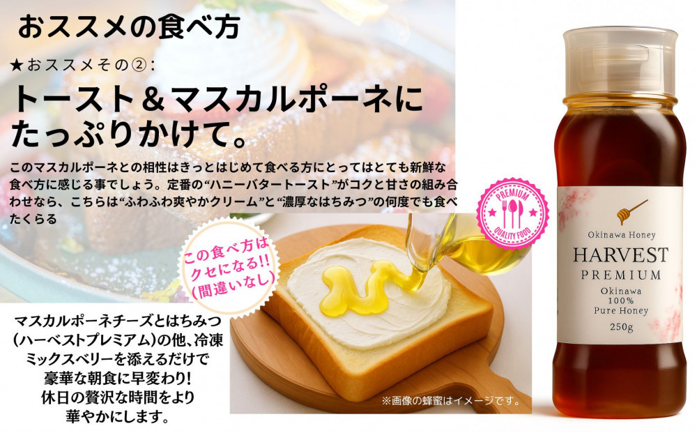 æ²çžãããŒãããŒãã¹ã ãã¬ãã¢ã 250gã2æ¬