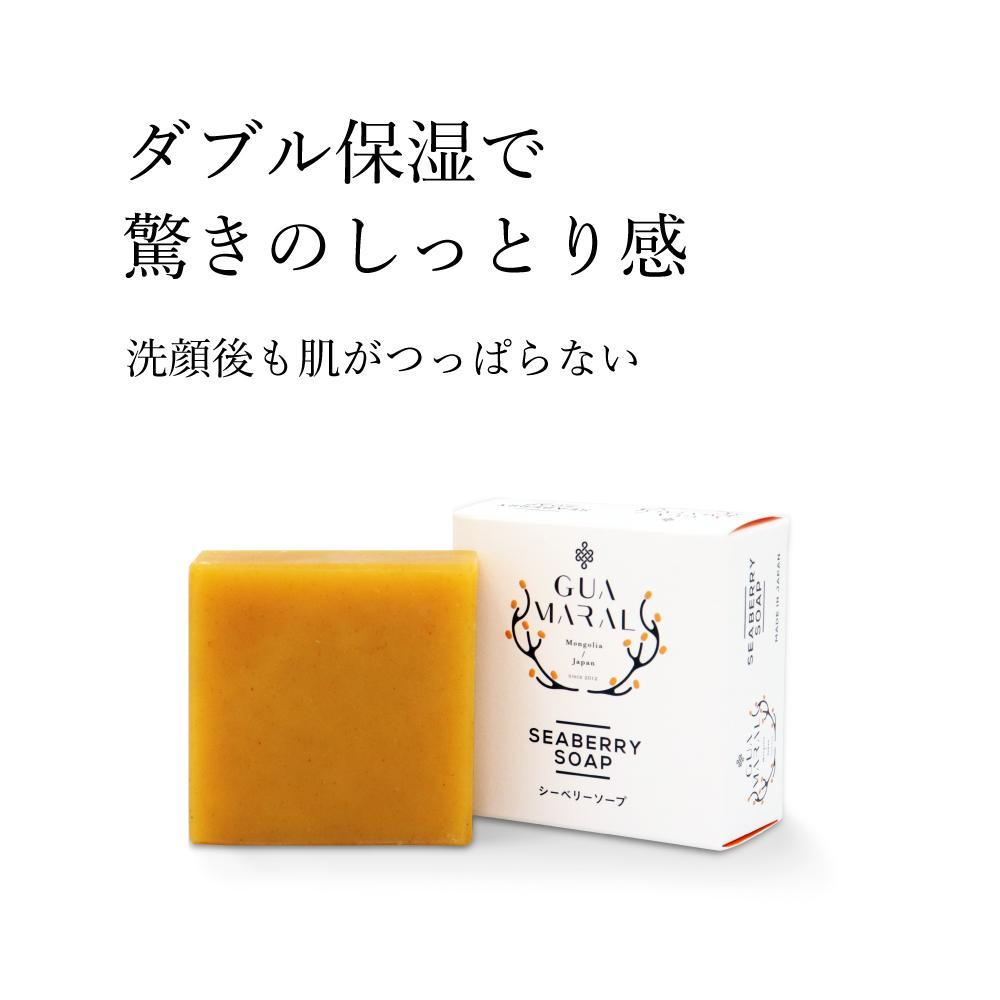 グアマラルシーベリーソープ 100g 2個セット サジー石鹸