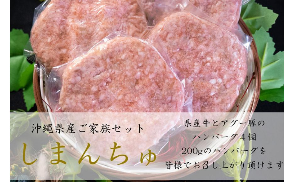 しまんちゅセット(ハンバーグ200g×4個)