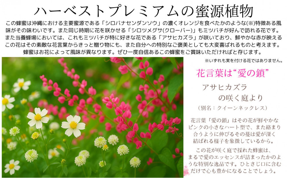 æ²çžãããŒãããŒãã¹ã ãã¬ãã¢ã 250g