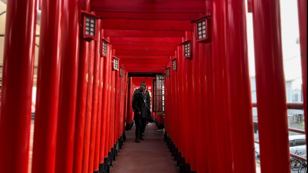 首里の干支神社をめぐるサイクリングツアー