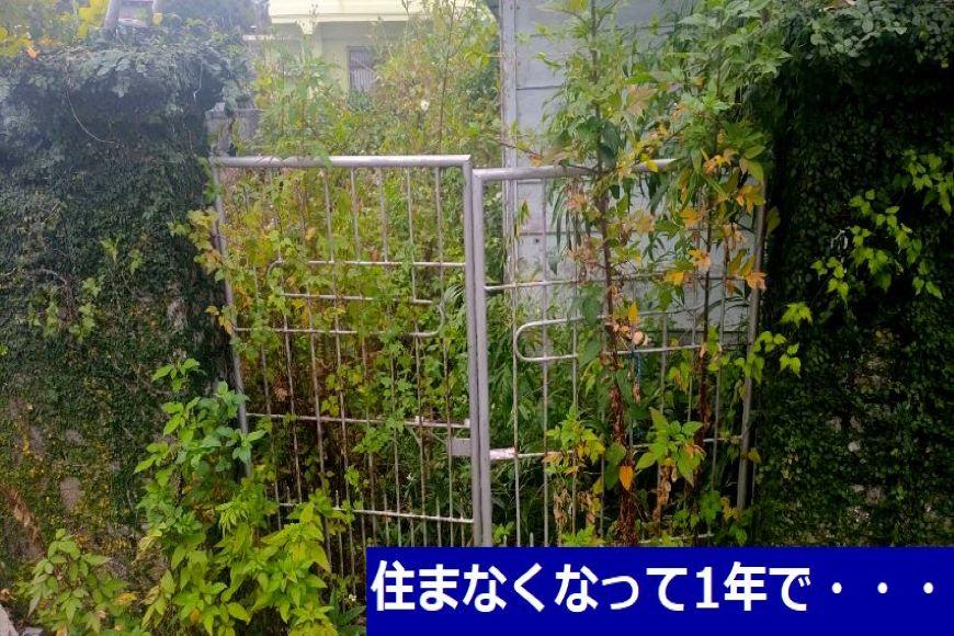 空き家見守り通常プラン