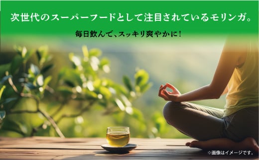 金ちゃんちのモリンガパウダー（50g×４袋） 粉末 ティー お茶 | 100％沖縄産 ノンカフェイン 無添加 無着色 | 島食専門店kinchanchi 金ちゃんちの海ぶどう 