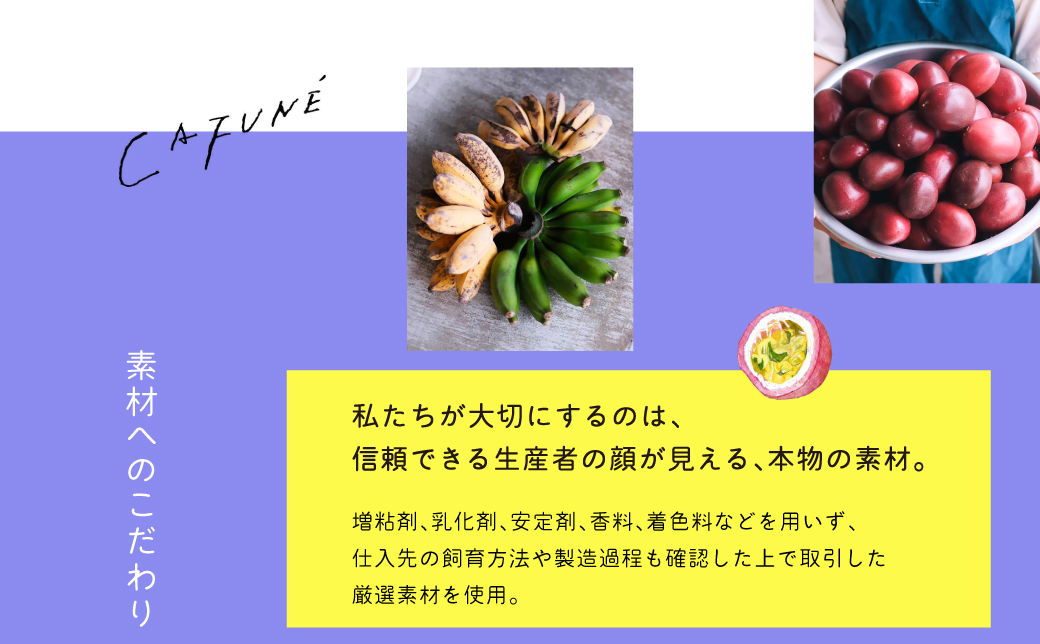 添加剤不使用 CAFUNÉ アイスクリーム 8個セット | 沖縄の食材 国産 厳選素材 手づくり アイス クラフトアイスクリーム | デザート アレンジ 贈り物 ギフト | 沖縄県 宜野湾市 送料無料