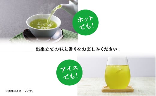 金ちゃんちのモリンガパウダー（50g×４袋） 粉末 ティー お茶 | 100％沖縄産 ノンカフェイン 無添加 無着色 | 島食専門店kinchanchi 金ちゃんちの海ぶどう 