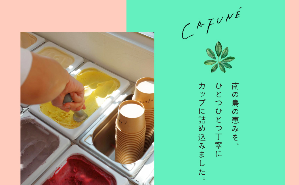 添加剤不使用 CAFUNÉ アイスクリーム 12個セット | 沖縄の食材 国産 厳選素材 手づくり アイス クラフトアイスクリーム | デザート アレンジ 贈り物 ギフト | 沖縄県 宜野湾市 送料無料