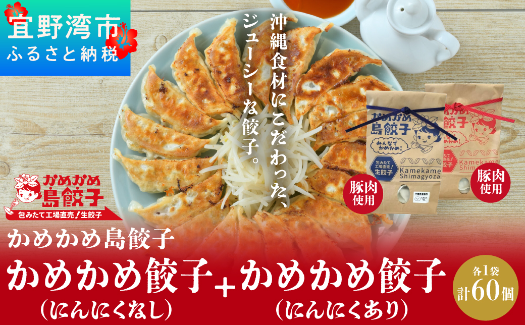 かめかめ島餃子 (豚肉/にんにくあり・なし) 30個 × 2袋 | 包みたて 工場直売 餃子 シママース | 簡単調理 手軽 | 豚肉 出汁 沖縄 お取り寄せ グルメ 冷凍 | 沖縄県 宜野湾市 | 送料無料