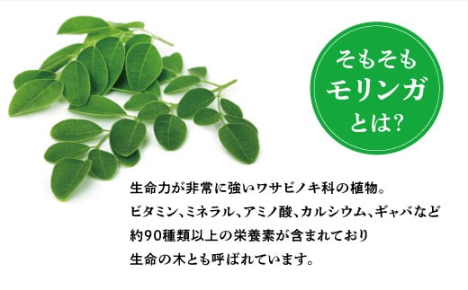 金ちゃんちのモリンガパウダー（50g×４袋） 粉末 ティー お茶 | 100％沖縄産 ノンカフェイン 無添加 無着色 | 島食専門店kinchanchi 金ちゃんちの海ぶどう 