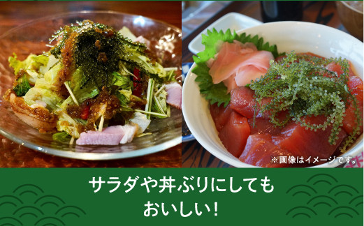 【はごろものまちのグリーンキャビア】海ぶどう（500g） | その日に摘み取った新鮮な海ぶどう