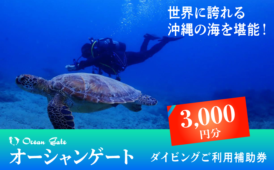 ダイビング マリンスポーツ オーシャンゲート ご利用補助券 3,000円分 | 沖縄県 宜野湾市 ふるさと納税 ふるさと | 送料無料 | 沖縄 旅行 トラベル 観光 リゾート 美ら海 | ご利用券 補助券
