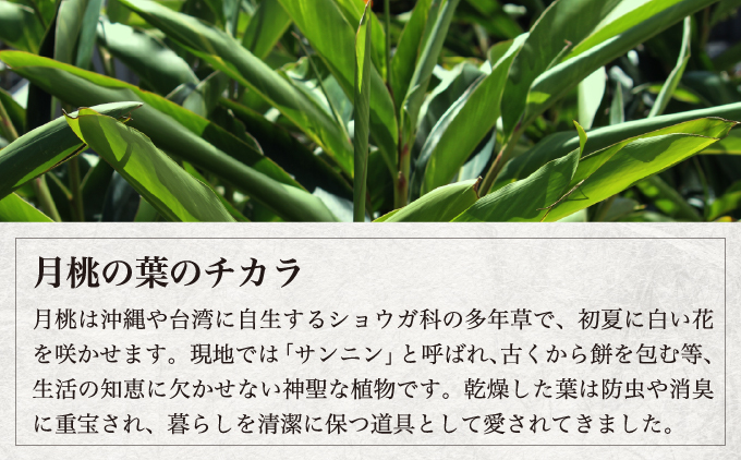 天然月桃消臭剤 詰め合わせ | かみや商店 | 安心 抗菌 衛生用品 月桃 | 沖縄県 宜野湾市 送料無料