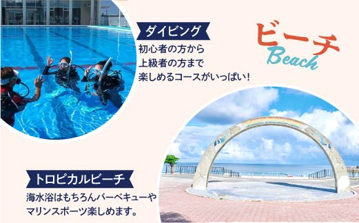 沖縄県 宜野湾市 日本旅行 地域限定旅行クーポン (紙券)【90,000円分】 | ふるさと納税 旅行 沖縄 ホテル 旅行券 トラベル ふるさと チケット 宿泊 宿泊券 宿 観光 飛行機 送料無料 リゾート ファミリー ペア ダイビング 宜野湾 普天間 トロピカルビーチ