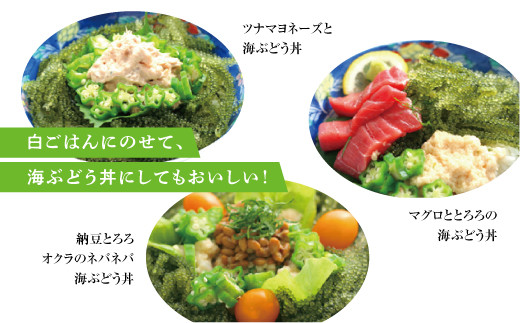 【沖縄県産】 生海ぶどう 100g×3パックセット 専用タレ付き | 島食専門店kinchanchi 金ちゃんちの海ぶどう| 鮮度抜群！プチプチ食感。