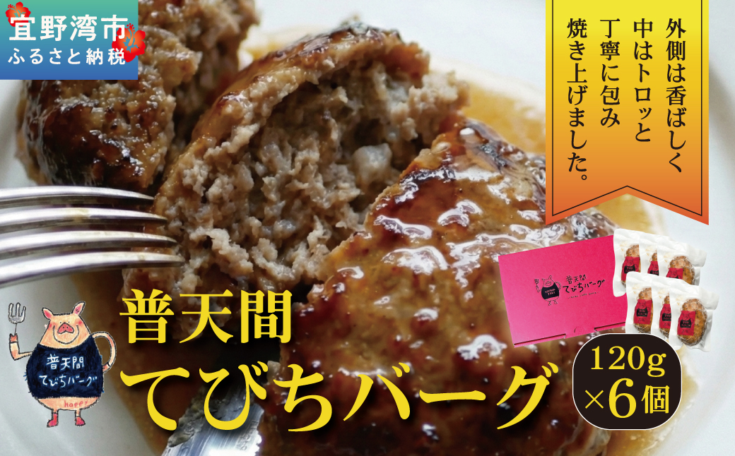 普天間てびちハンバーグ 120g×6個  | BISTROT LIERRE BLANC II | 沖縄県産 豚肉 てびち 豚足 ハンバーグ |  冷凍 真空パック 沖縄土産 沖縄県 宜野湾市 送料無料