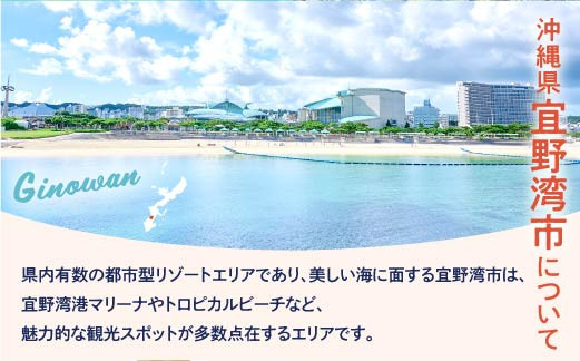 沖縄県 宜野湾市 日本旅行 地域限定旅行クーポン (紙券)【300,000円分】 | ふるさと納税 旅行 沖縄 ホテル 旅行券 トラベル ふるさと チケット 宿泊 宿泊券 宿 観光 飛行機 送料無料 リゾート ファミリー ペア ダイビング 宜野湾 普天間 トロピカルビーチ