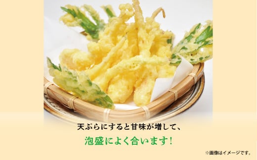 【沖縄県産】島らっきょう 塩漬け 500g | 島食専門店kinchanchi 金ちゃんちの海ぶどう 