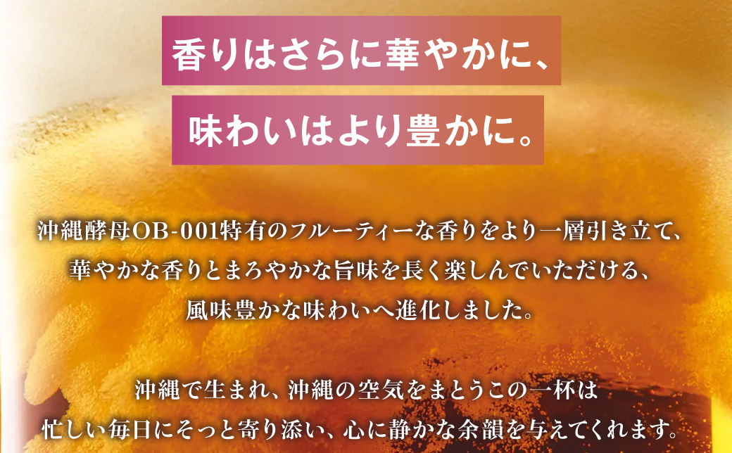 オリオン ザ・プレミアム 缶（500ml×24本）*県認定返礼品／オリオンビール*