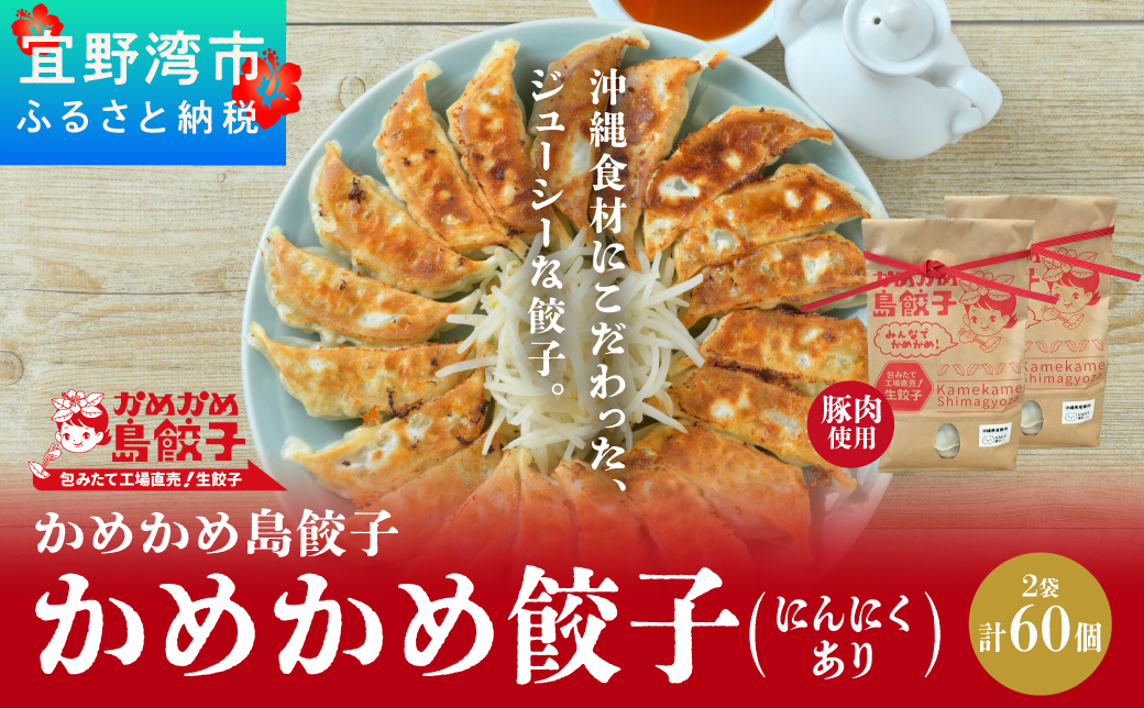 かめかめ島餃子 (豚肉・にんにくあり) 30個 × 2袋 | 包みたて 工場直売 餃子 シママース | 簡単調理 手軽 | 餃子 豚肉 出汁 沖縄 お取り寄せ グルメ 冷凍 にんにく | 沖縄県 宜野湾市 | 送料無料