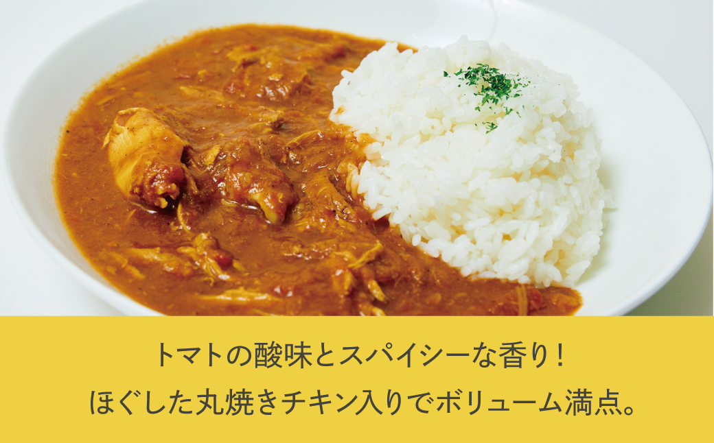 沖縄県産若鶏使用 オリジナルチキンカレー (1袋 約260g)  6袋セット | とりの丸焼こけこっこハウス | トマトベース オリジナル スパイス お肉たっぷり にんにくたっぷり 辛さ控え目 ヘルシー | 沖縄 グルメ お取り寄せ | 沖縄県 宜野湾市 | 冷凍 送料無料