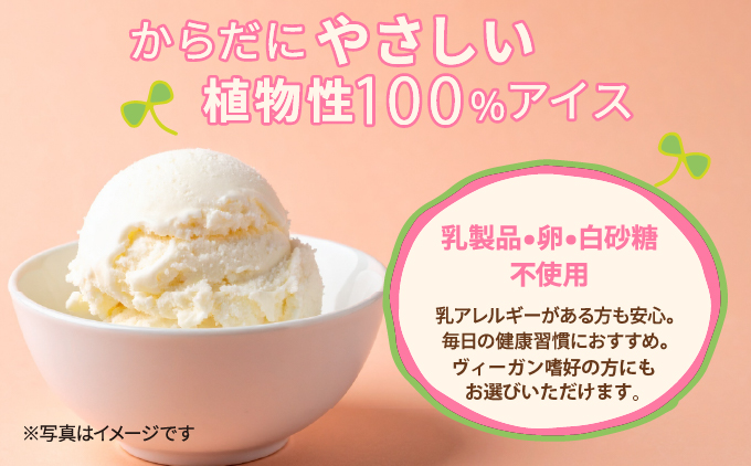 SOY(豆乳)アイス 6個セット (プレーン(豆乳のみ)・抹茶・沖縄産秋ウコン) 3種類 各2個 | 沖縄ウコン堂 ソイアイス アイスクリーム | 国産 沖縄産 | ヘルシー 低カロリー デザート スイーツ | ヴィーガン 植物性100% | 宜野湾市 送料無料