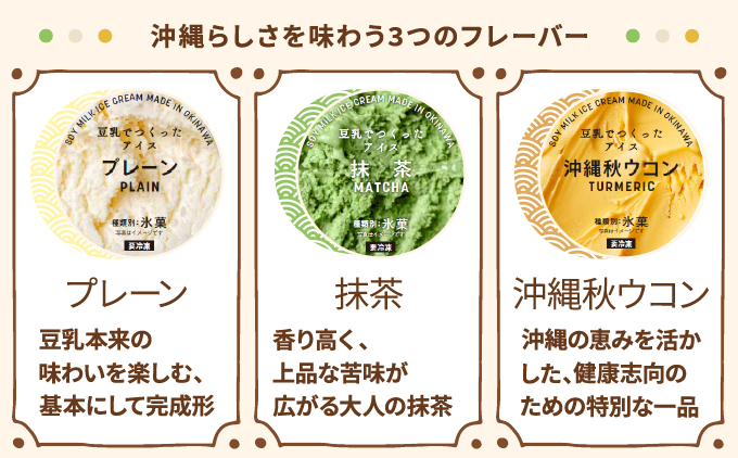 SOY(豆乳)アイス 6個セット (プレーン(豆乳のみ)・抹茶・沖縄産秋ウコン) 3種類 各2個 | 沖縄ウコン堂 ソイアイス アイスクリーム | 国産 沖縄産 | ヘルシー 低カロリー デザート スイーツ | ヴィーガン 植物性100% | 宜野湾市 送料無料
