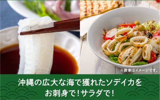 【沖縄県産 巨大イカ】ソデイカ短冊 | 宜野湾漁港で水揚げ