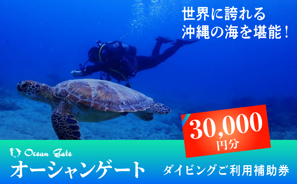 ダイビング マリンスポーツ オーシャンゲート ご利用補助券 30,000円分 | 沖縄県 宜野湾市 ふるさと納税 ふるさと | 送料無料 | 沖縄 旅行 トラベル 観光 リゾート 美ら海 | ご利用券 補助券