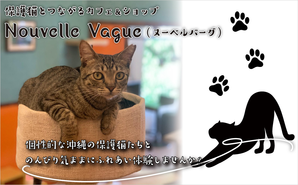 沖縄県 宜野湾市 沖縄保護猫カフェふれあい体験120分ペアチケット(ドリンク+おやつ体験付) | ねこ 応援 | 保護猫とつながるカフェ＆ショップ Nouvelle Vague（ヌーベルバーグ）| 送料無料