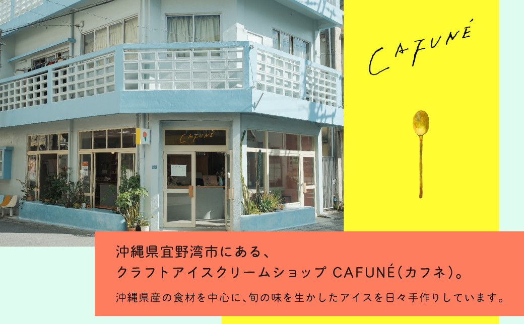 添加剤不使用 CAFUNÉ アイスクリーム 12個セット | 沖縄の食材 国産 厳選素材 手づくり アイス クラフトアイスクリーム | デザート アレンジ 贈り物 ギフト | 沖縄県 宜野湾市 送料無料