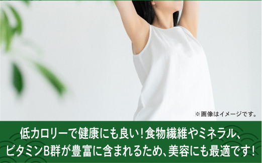 【はごろものまちのグリーンキャビア】海ぶどう（500g） | その日に摘み取った新鮮な海ぶどう