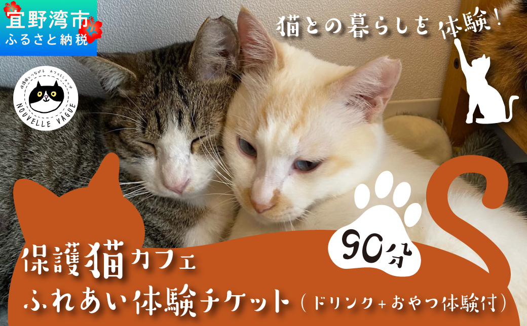 沖縄県 宜野湾市 沖縄保護猫カフェふれあい体験120分ペアチケット(ドリンク+おやつ体験付) | ねこ 応援 | 保護猫とつながるカフェ＆ショップ Nouvelle Vague（ヌーベルバーグ）| 送料無料