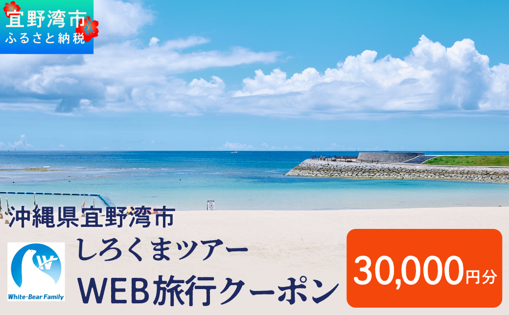 沖縄県 宜野湾市 しろくまツアーで利用可能なWEB旅行クーポン  30,000円分 | ふるさと納税 ふるさと | 送料無料 | 沖縄 旅行 トラベル 観光 リゾート ツアー | ホテル 宿 宿泊 | 旅行券 チケット 宿泊券 紙券 地域限定旅行クーポン