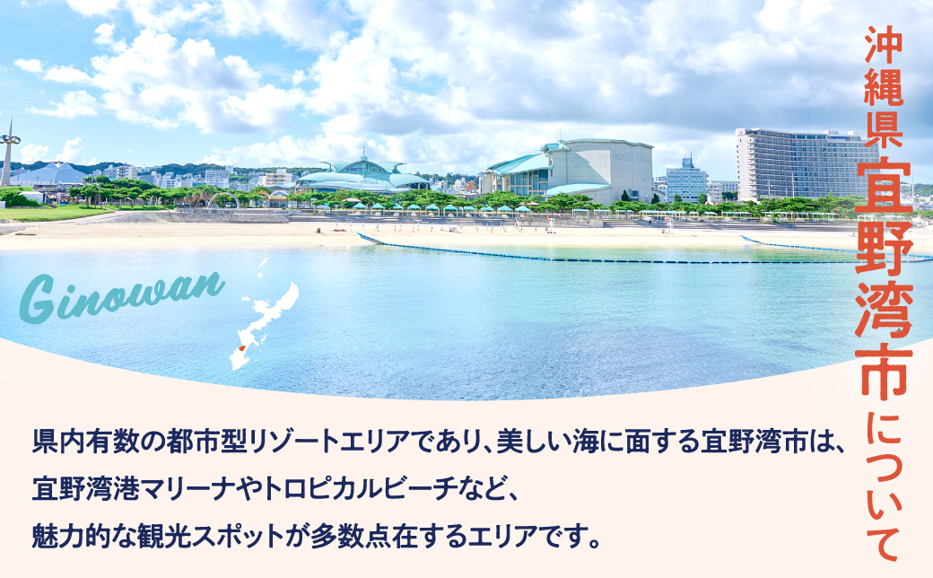沖縄県 宜野湾市 しろくまツアーで利用可能なWEB旅行クーポン  900,000円分 | ふるさと納税 ふるさと | 送料無料 | 沖縄 旅行 トラベル 観光 リゾート ツアー | ホテル 宿 宿泊 | 旅行券 チケット 宿泊券 紙券 地域限定旅行クーポン 