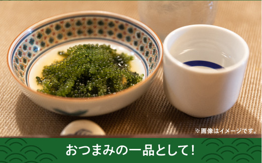 【はごろものまちのグリーンキャビア】海ぶどう（1kg） | その日に摘み取った新鮮な海ぶどう