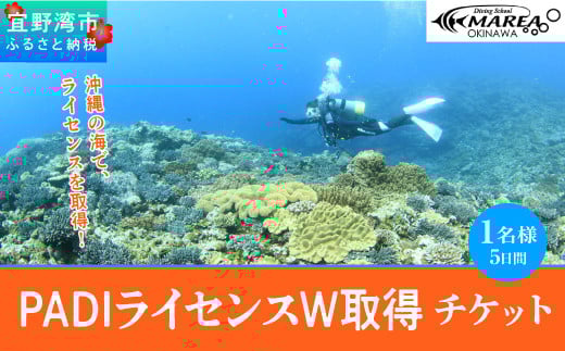 【宜野湾】　PADIライセンスW取得チケット