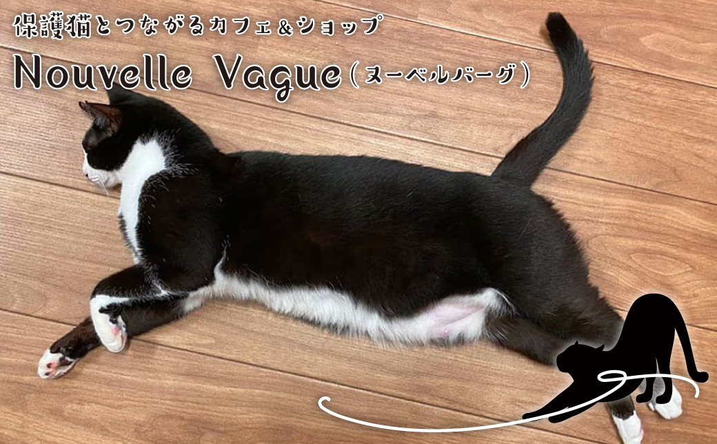 沖縄県 宜野湾市 沖縄保護猫カフェふれあい体験120分ペアチケット(ドリンク+おやつ体験付) | ねこ 応援 | 保護猫とつながるカフェ＆ショップ Nouvelle Vague（ヌーベルバーグ）| 送料無料